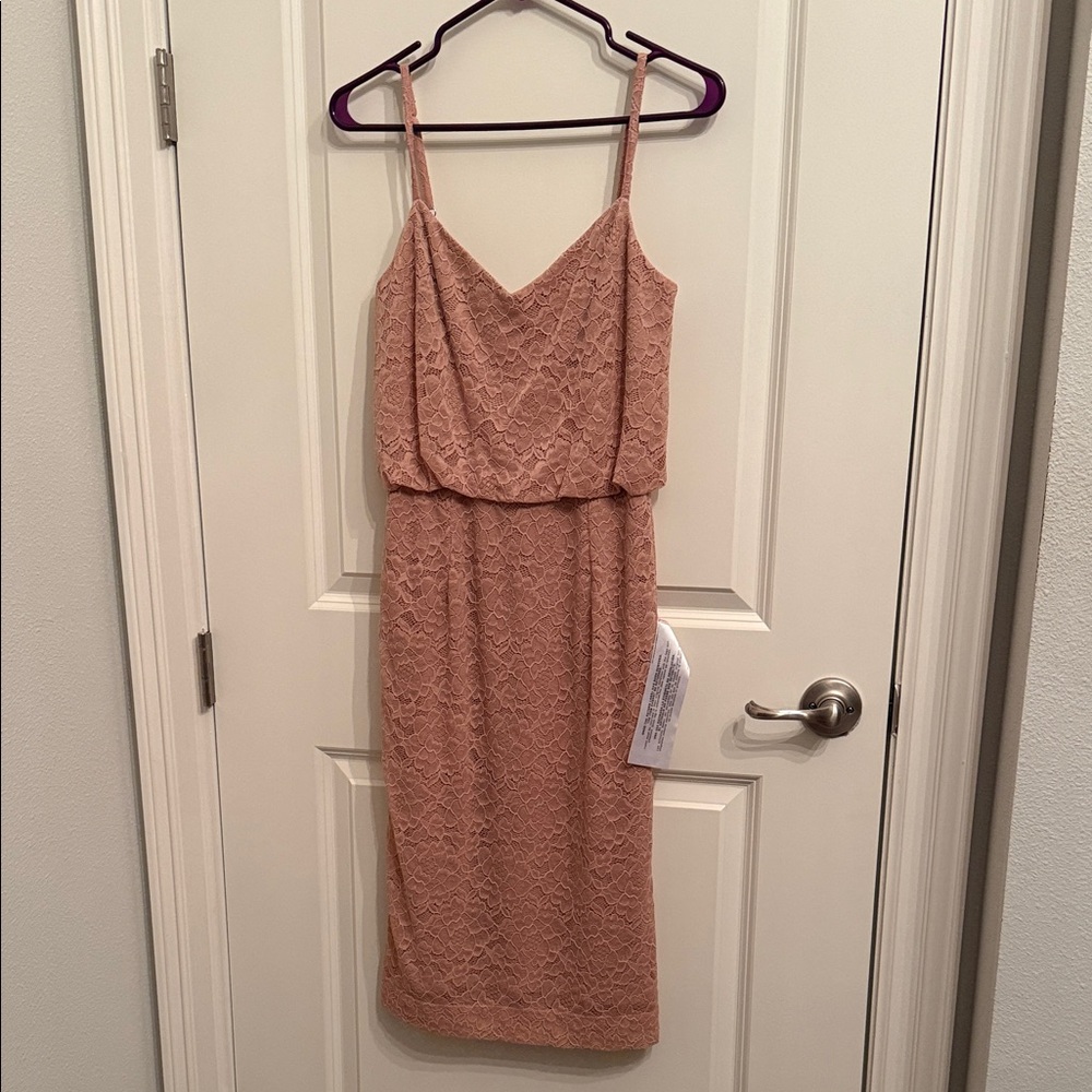 Dress the Population Blush Lace Spaghetti Strap Midi Dress